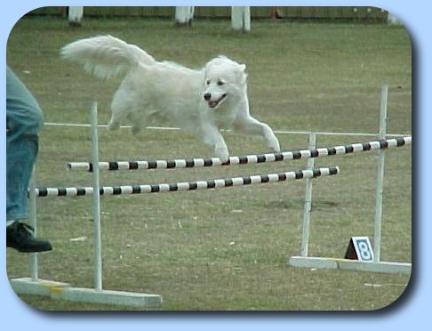 Sissy over the Spread