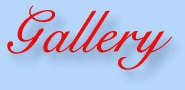 The Gallery!